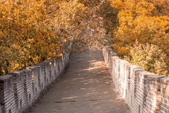 伟大的墙中国秋天墙在的树木繁茂的山