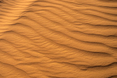 金沙的沙漠Wadi空间约旦