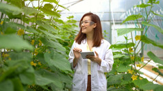 亚洲女人科学研究水电瓜农场