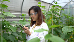 亚洲女人科学研究水电瓜农场