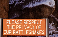 请尊重的隐私响尾蛇标志德州峡谷的龙骑兵山南图森亚利桑那州标志小道的起点附近的野餐区域的美洲印第安人基金会