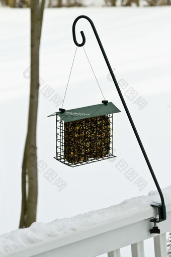 块鸟种子挂起从玄关铁路雪冬天一天