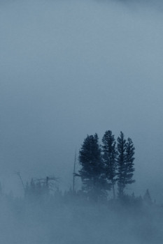 常绿树笼罩雾和雾沿着<strong>黄石公园</strong>河美国rsquo第一个<strong>国家公园</strong>垂直图像与复制空间前蓝色的色调冷多雾的早....