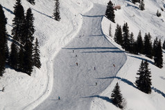 雪覆盖滑雪跑道包围树阳光明媚的一天蒙塔丰奥地利