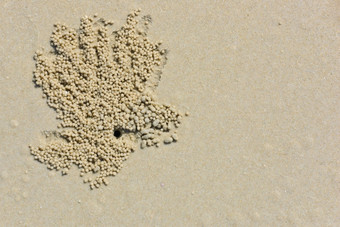 废话使海滩沙子