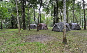 野营帐篷龙脑香科树森林泰国