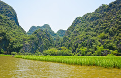 大米场沿着河与石灰石山背景越南