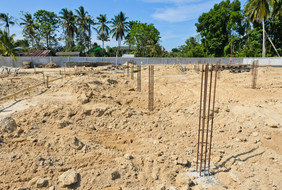 建设网站桩建设