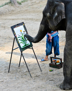 大象艺术家绘画