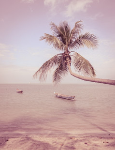 热带海海滩与椰子棕榈树而且长尾船古董效果