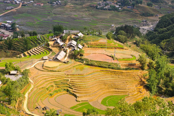 大米梯田字段而且苗族少数<strong>民族村</strong>萨帕越南