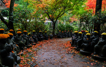 秋天日本花园与佛排通路daisho-in寺庙理由Miyajima岛广岛日本