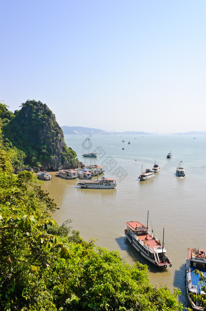 旅游船向湾越南图片