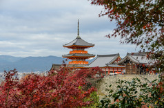 惊人的秋天颜色风景清水寺寺庙《京都议定书》日本