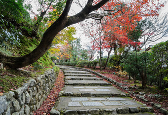 步骤领先的与秋天彩色的叶子岚山京秋天日本枫木树与步骤领先的的寺庙岚山《京都议定书》日本