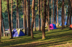 野营帐篷松树森林附近湖与光和影子的早....美在香港儿子泰国