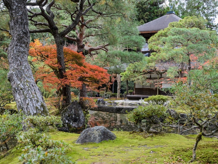 银阁寺寺庙寺庙的银展馆在秋天颜色《京都议定书》日本