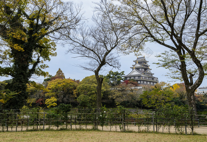 惊人的视图日本冈山城堡秋天季节日本冈山日本