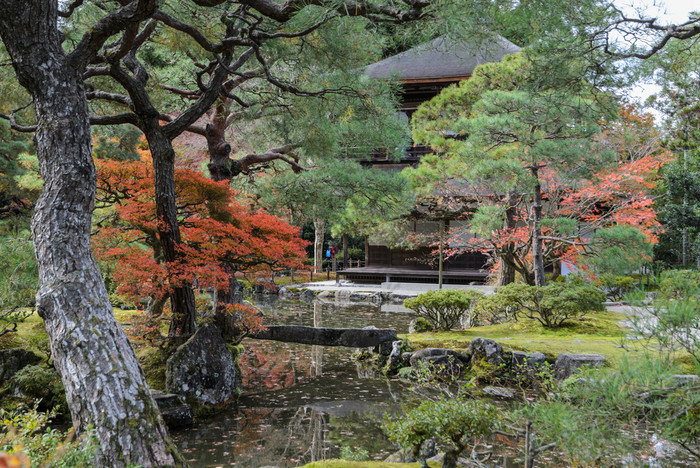 银阁寺寺庙寺庙的银展馆在秋天颜色《京都议定书》日本