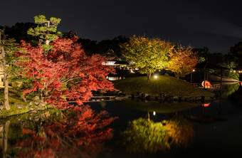 惊人的晚上illumniation秋天颜色后乐园日本花园日本冈山日本