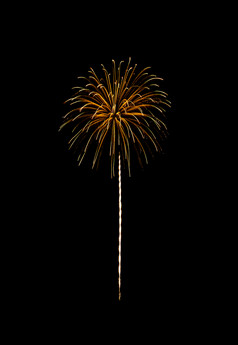 美丽的金烟花爆炸的晚上天空孤立的黑色的背景新一年和周年纪念日概念