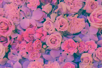 粉红色的花背景玫瑰康乃馨和兰花软过滤后的效果图像