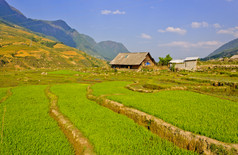 景观大米梯田场山部落萨帕越南