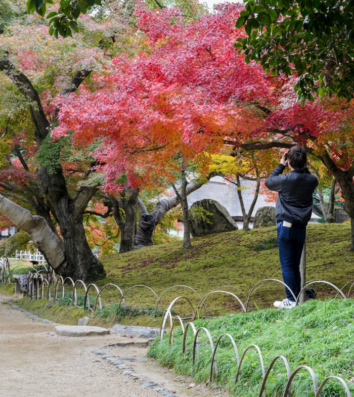 日本秋天颜色后乐园花园日本冈山日本