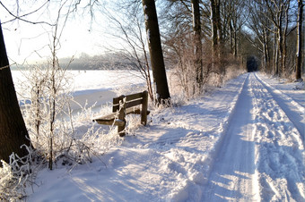 雪路径的森林的Horsten瓦森纳的荷兰
