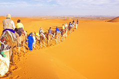骆驼商队会通过的沙子沙丘的撒哈拉沙漠沙漠摩洛哥