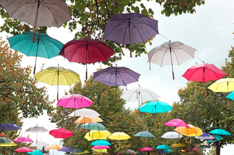雨伞秋天的农村从的荷兰