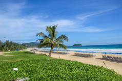 热带棕榈树的海滩的海放松海滩椅子的海滩和棕榈树