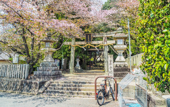 日本奈良4月樱桃花朵以上的<strong>鸟居门</strong>试图帮助神社奈良县樱桃花朵试图帮助神社入口