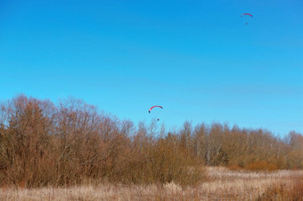 滑翔伞的天空在的森林两个滑翔伞高飞以上的树滑翔伞的天空在的森林