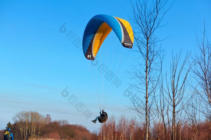 3月的海岸的波罗的海海加里宁格勒州俄罗斯滑翔伞以上的树滑翔伞苍蝇在的森林滑翔伞以上的树滑翔伞苍蝇在的森林