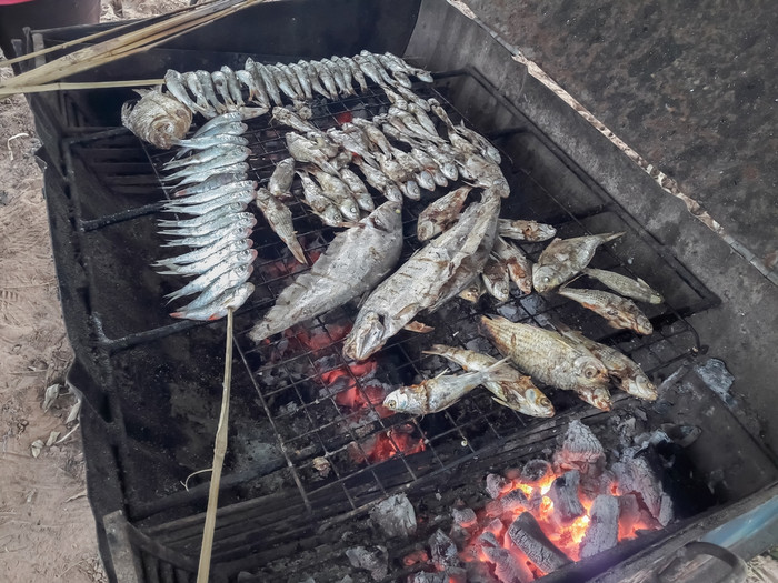 烤鱼木炭炉子