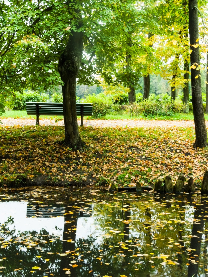 金秋天公园板凳上金秋天板凳上的公园反映了水