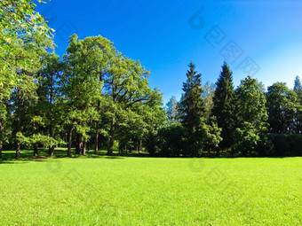 景观沐浴阳光草坪上而且蓝色的天空