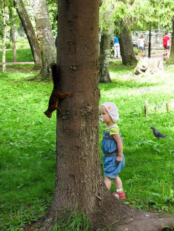 女孩喂养松鼠的女孩的蓝色的西装喂养松鼠的森林