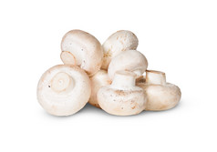 桩蘑菇孤立的白色背景