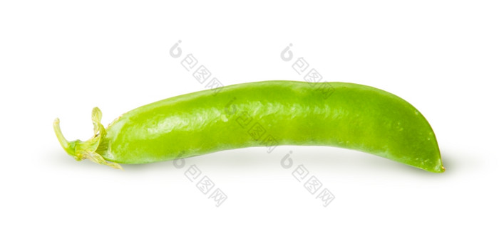 单新鲜的绿色豌豆糖的豆荚孤立的白色背景