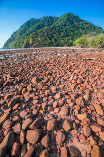 海滩与石头而且热带海