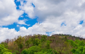 云在森林和山图片