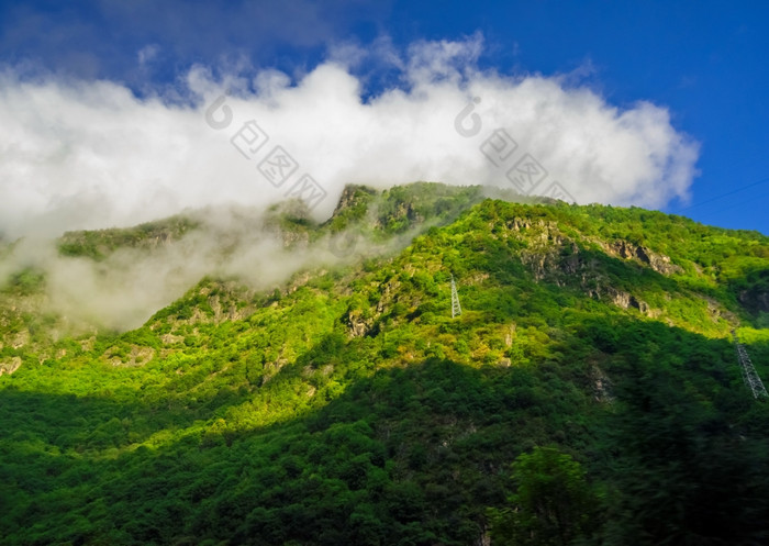 美丽的景观的山夏天