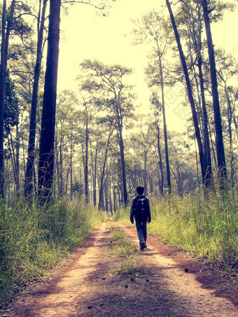 独自一人男人。徒步旅行污垢路的野生