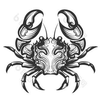 蟹雕刻插图复古的风格海鲜元素为菜单装饰公司标签手画插图孤立的白色背景
