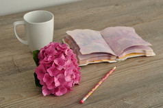 粉红色的绣球花与笔记本铅笔和杯子
