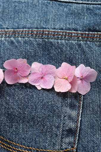回来口袋里牛仔布牛仔裤在哪里的缝装饰与粉红色的绣球花花