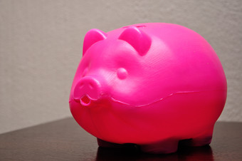 塑料小猪银行表格