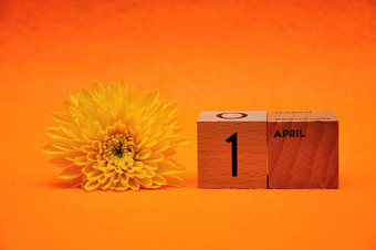 4月木块与黄色的黛西橙色背景